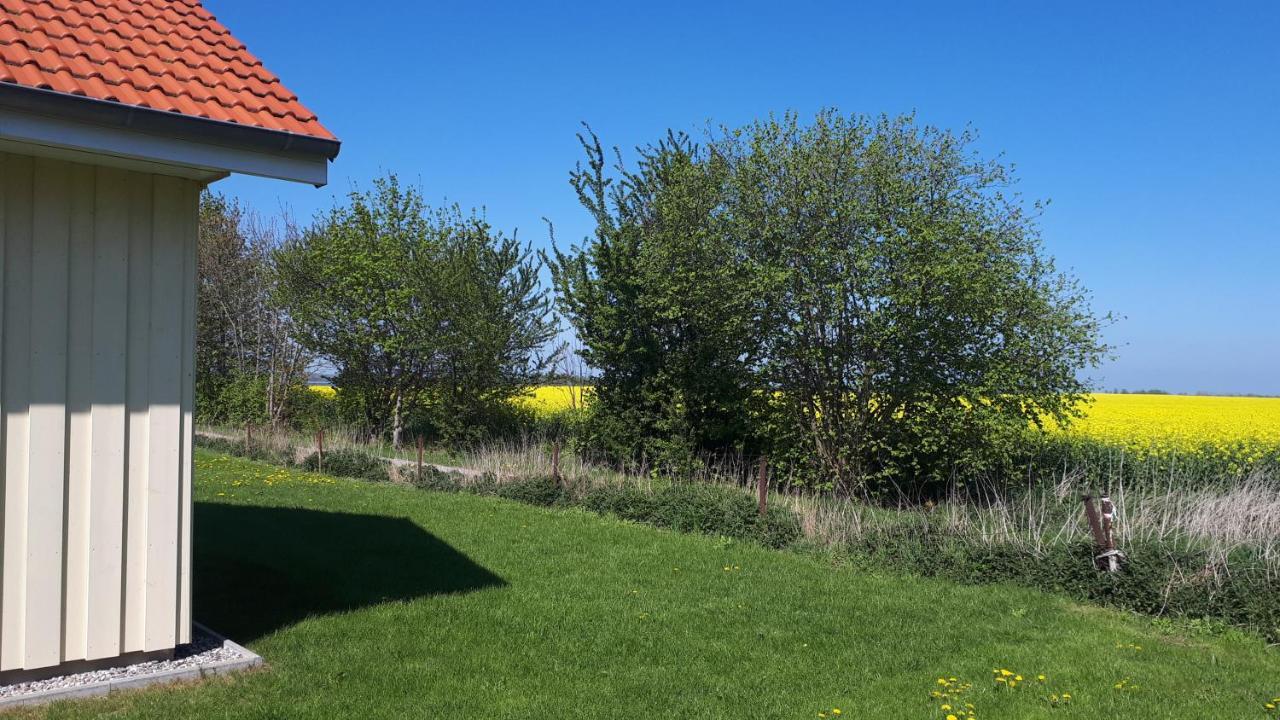 Ferienhaus Seestern Altefahr Luaran gambar